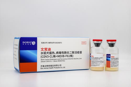 水貂犬瘟熱、病毒性腸炎二聯(lián)活疫苗（CDV3-CL株+ M E V B - F 6 1株）